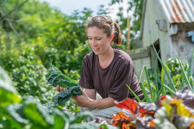 Gardening for health and wellbeing