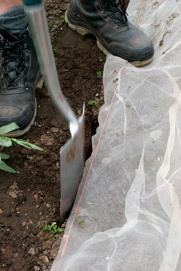 Managing pests and diseases without chemicals