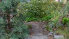 Thumbnail for slide 3