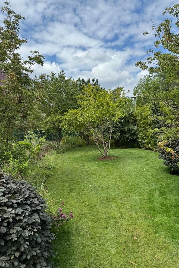 Lawn in the dog garden at Battersea