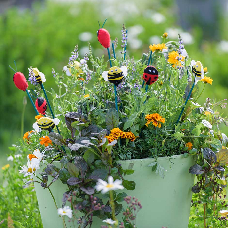 Pots and container habitats | RHS Advice