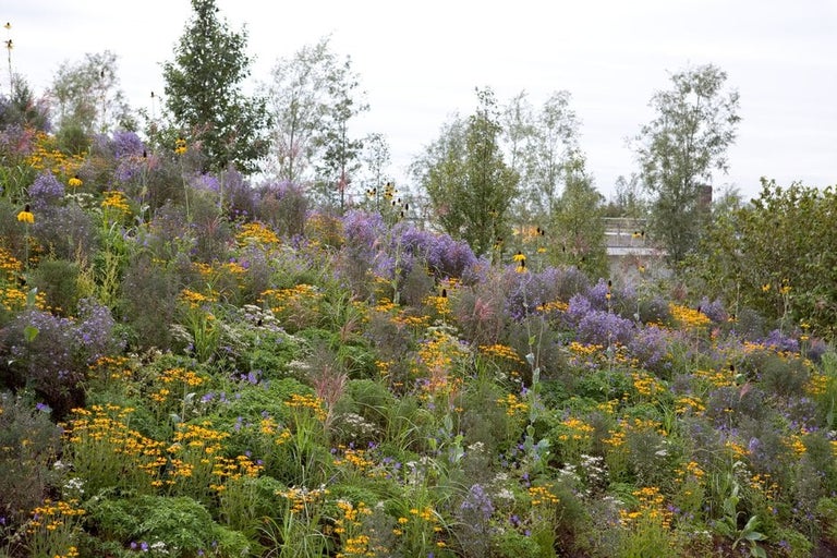 Bank and ditch habitats