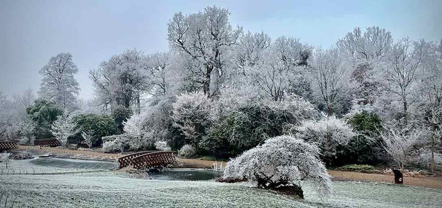 How to garden with extremes of weather