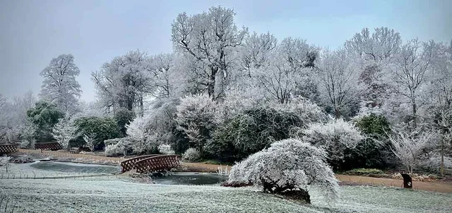 How to garden with extremes of weather