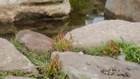 Thumbnail for slide 2