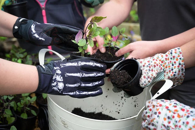 Read about gardening for health & wellbeing