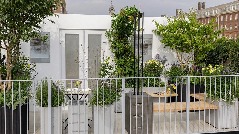 Small space pergola