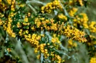Thumbnail for slide 3