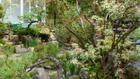 Thumbnail for slide 2