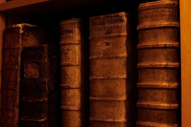 See our digital collections for insight into history