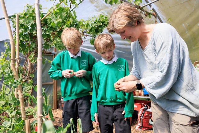 Gardening for all