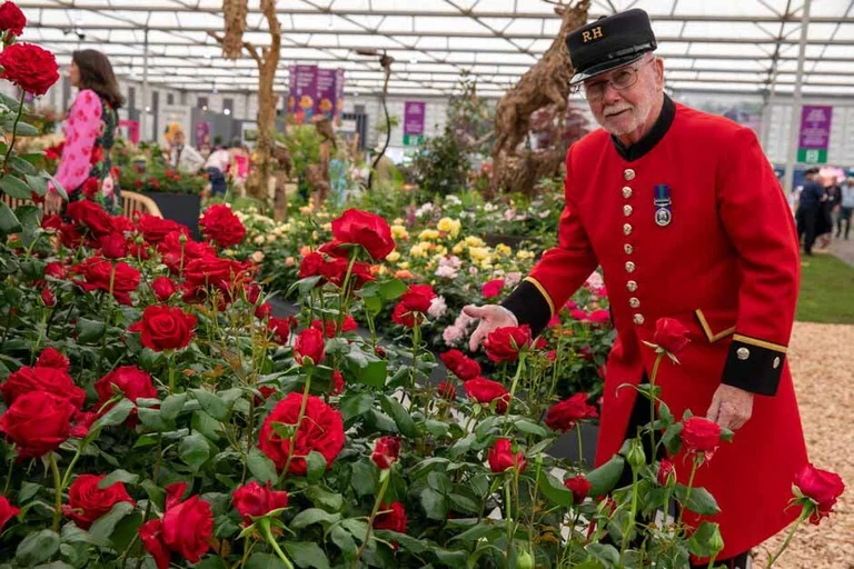 What’s on at RHS Chelsea Flower Show 2025