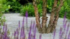 Thumbnail for slide 2