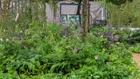Thumbnail for slide 5