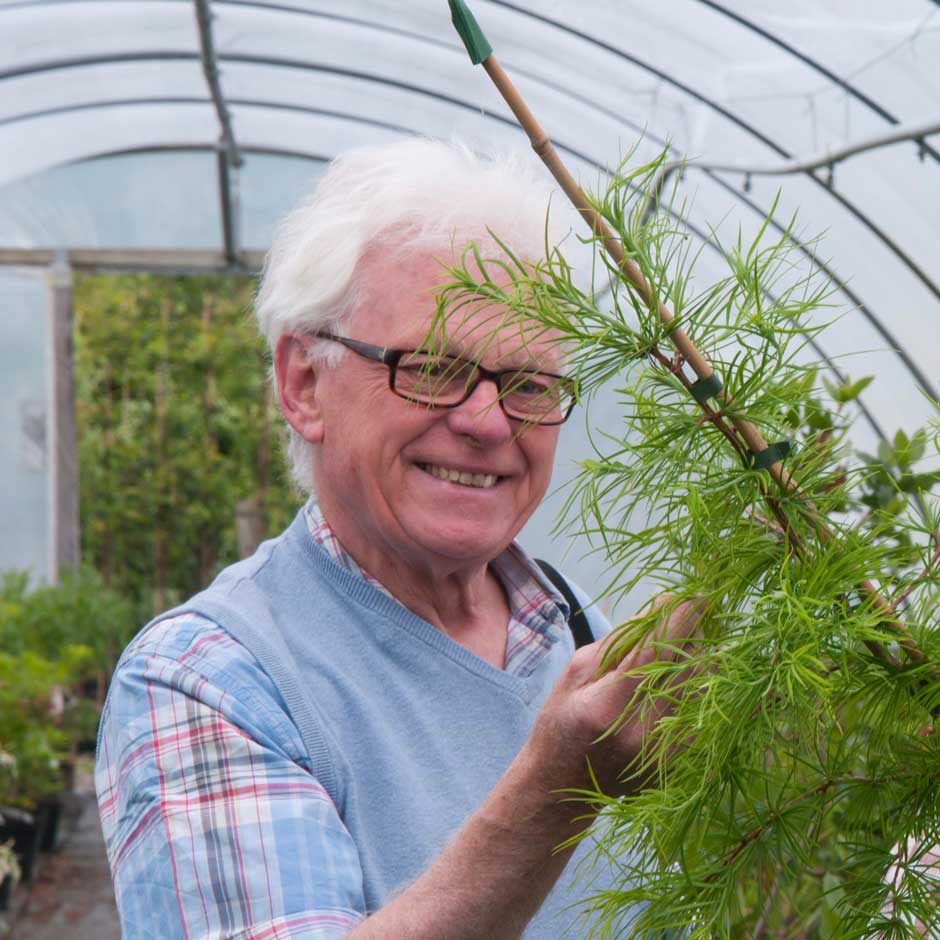 Roy Lancaster VMH, Garden writer