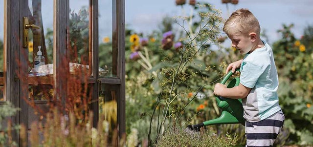 Creating a child-friendly garden
