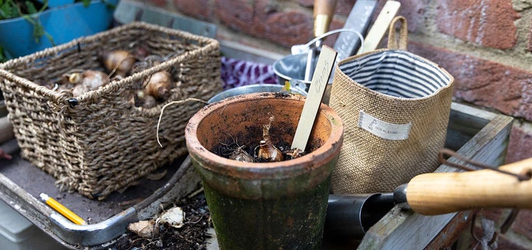 8 money-saving gardening ideas for autumn