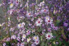 Thumbnail for slide 2