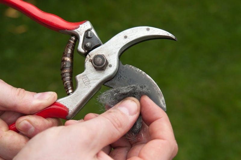 Cleaning Hand Tools: Maintenance Tips | RHS Advice