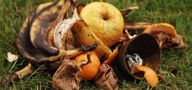 Stop throwing away food waste
