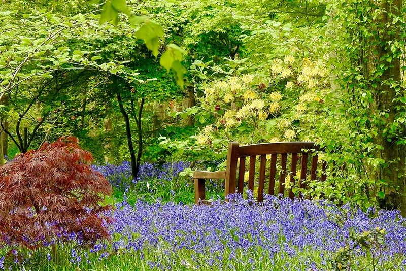 Green Island Gardens, Essex