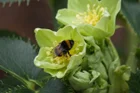 Thumbnail for slide 1