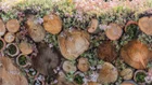 Thumbnail for slide 4