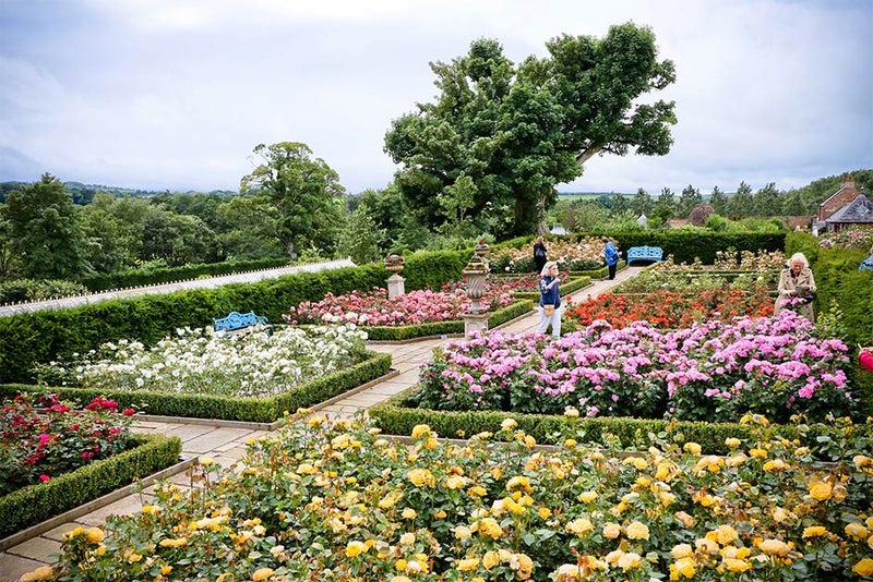 The biggest walled garden in Scotland