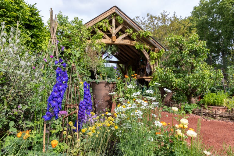 A garden with flowers and a wooden structure