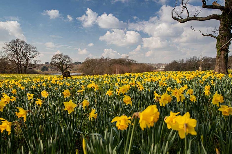Exbury Gardens & Stream Railway, New Forest