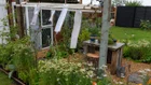 Thumbnail for slide 2