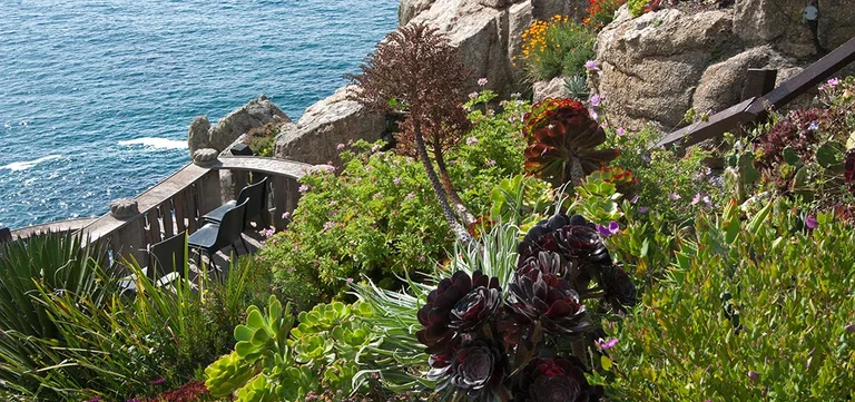 Coastal gardens