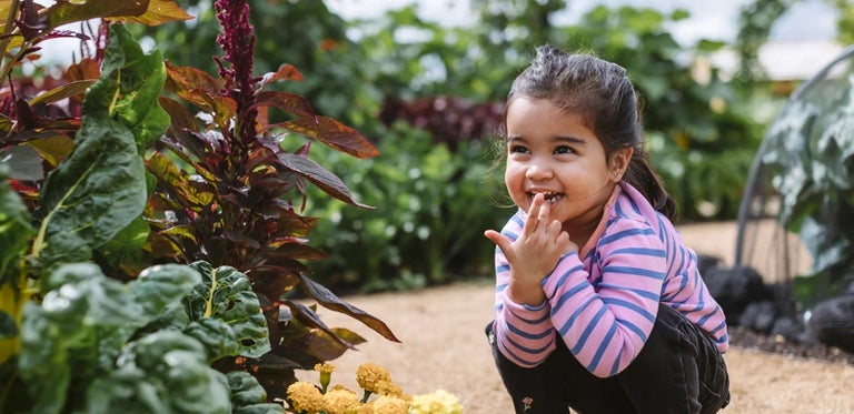 10 reasons to get gardening