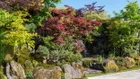 Thumbnail for slide 3