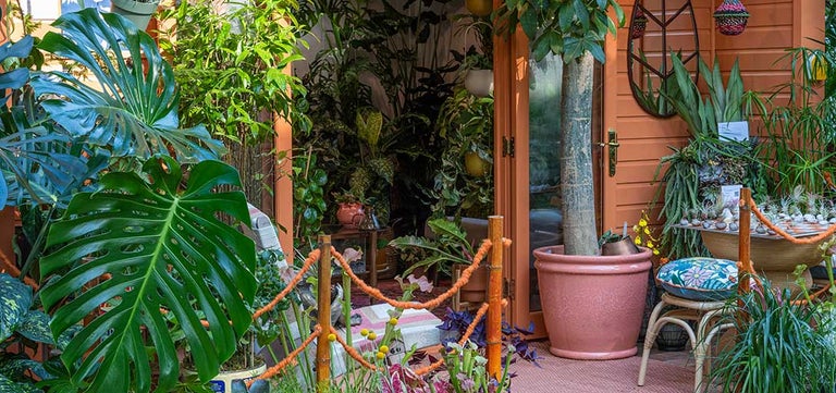 Seven take-home design trends from RHS Chelsea 2024