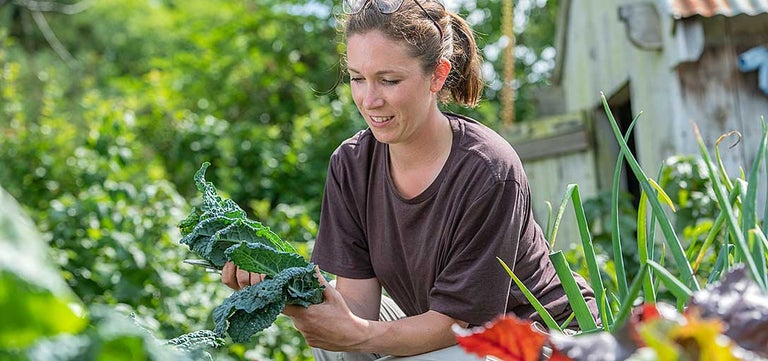 Why gardening makes us feel better – and how to make the most of it
