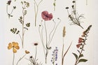 Thumbnail for slide 4