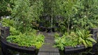Thumbnail: A walkway in a garden with chairs and plants
