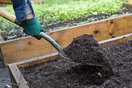 Minimising health risks in the garden