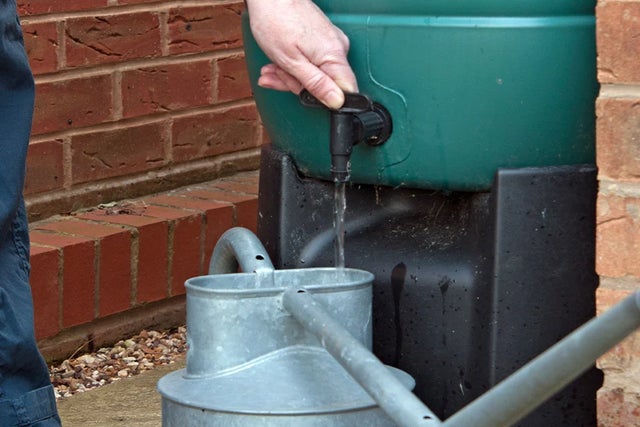 Managing water in your garden