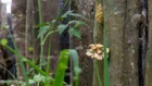 Thumbnail for slide 5