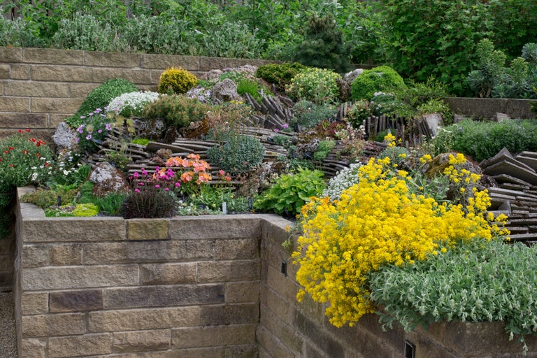 A garden with many flowers and rocks