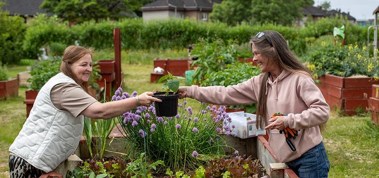 Growing to eat – cultivating wellbeing in Glasgow