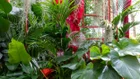 Thumbnail for slide 5