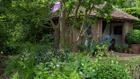 Thumbnail for slide 1