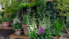 Thumbnail for slide 2