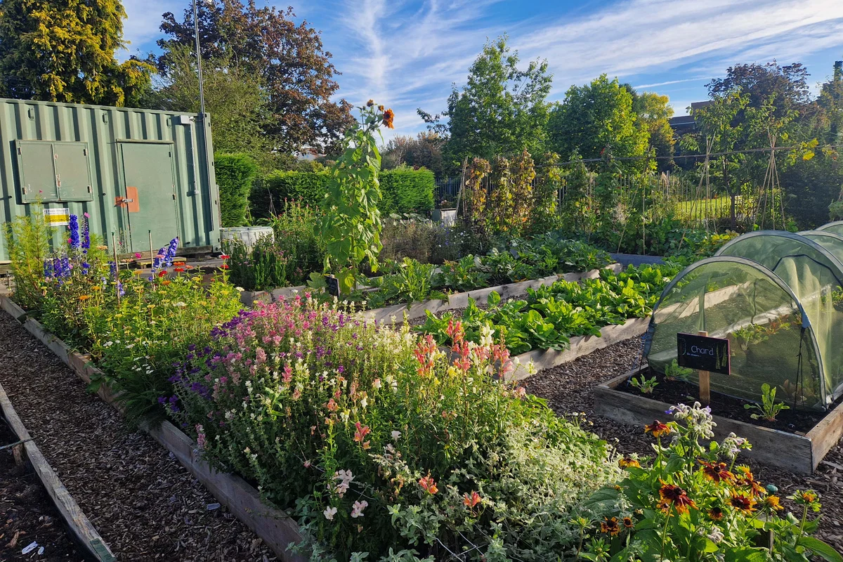 The Market Garden at Redcatch Community Garden