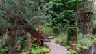 Thumbnail for slide 2