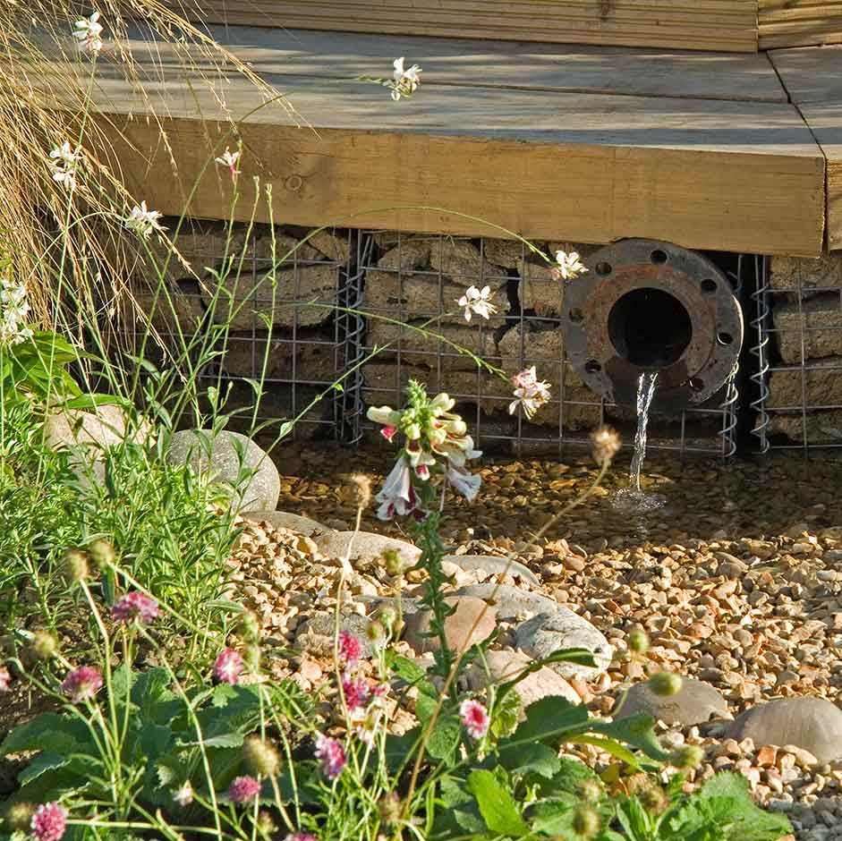 Rain fed pond