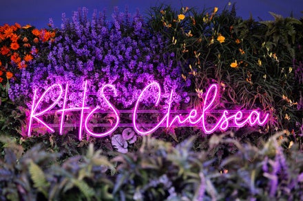 A purple sign with flowers